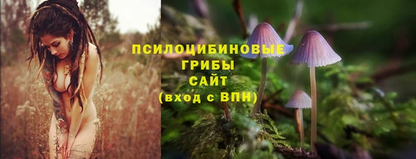мяу мяу кристалл Козловка
