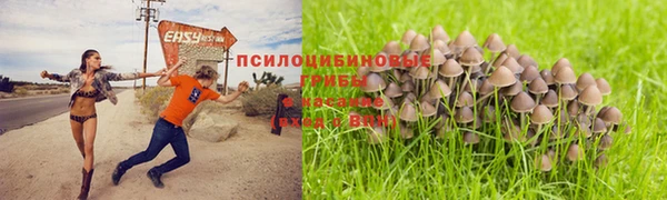mdma Кодинск