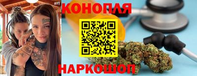 гидра Кингисепп