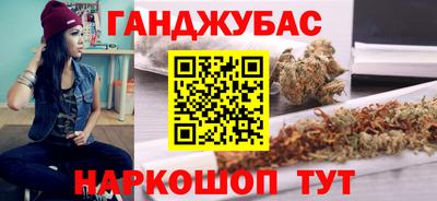 гидра Кингисепп