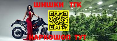 гидра Кингисепп