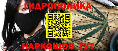гидра Кингисепп