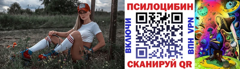 наркотики Тайшет Галлюциногенные грибы прущие грибы