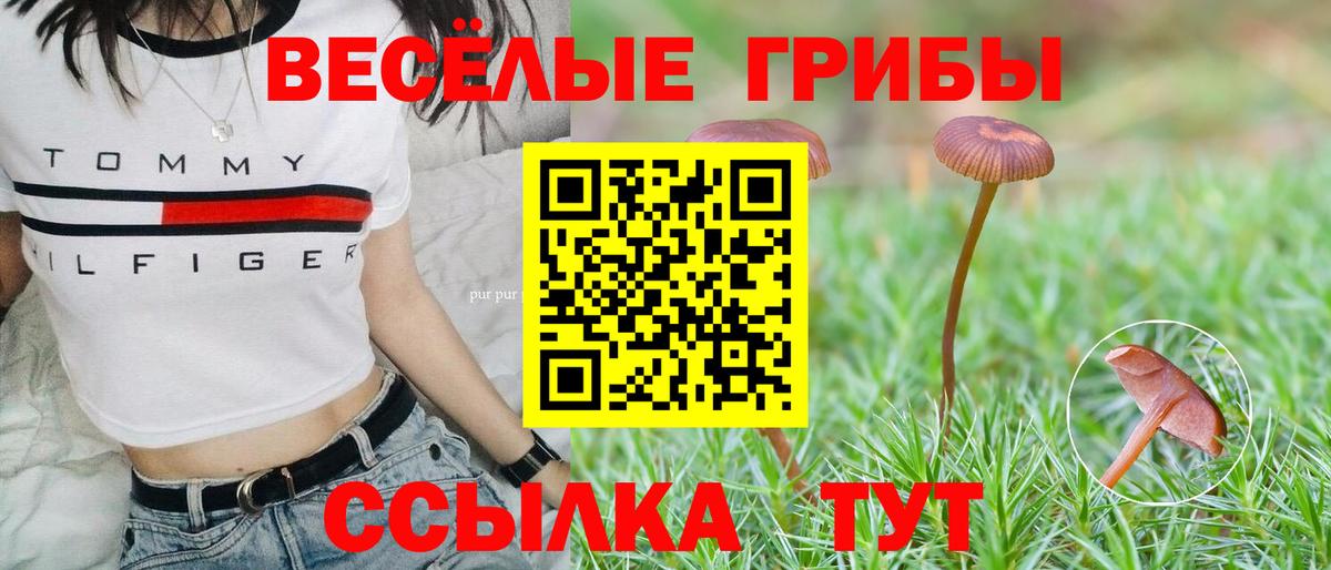 Псилоцибиновые грибы мухоморы  сколько стоит  Тайшет  Вход с VPN  Галлюциногенные грибы мицелий 