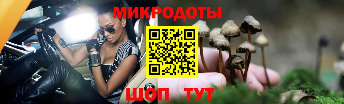 Псилоцибиновые грибы Magic Shrooms Тайшет