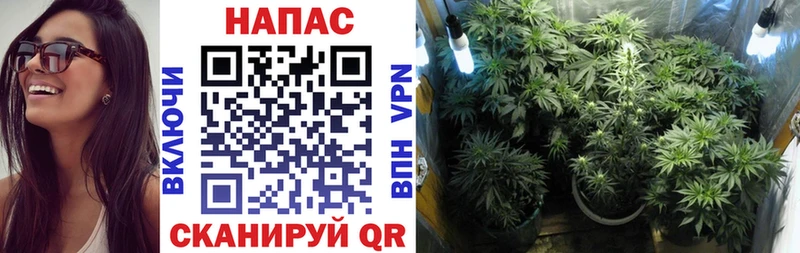 блэк спрут ссылки  Тайшет  Шишки марихуана THC 21% 
